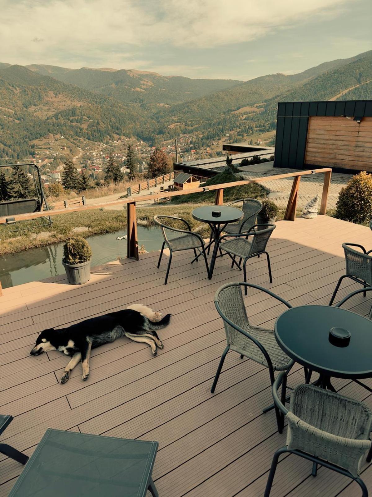 Panoramic Residence Borsa  Exterior photo